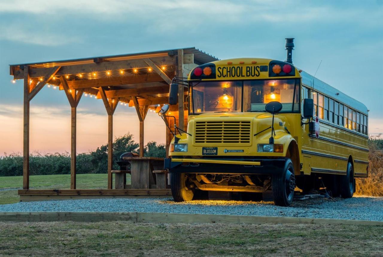 American School Bus - 1 Bedroom - Blossom Farm - Tiers Cross Johnston Εξωτερικό φωτογραφία