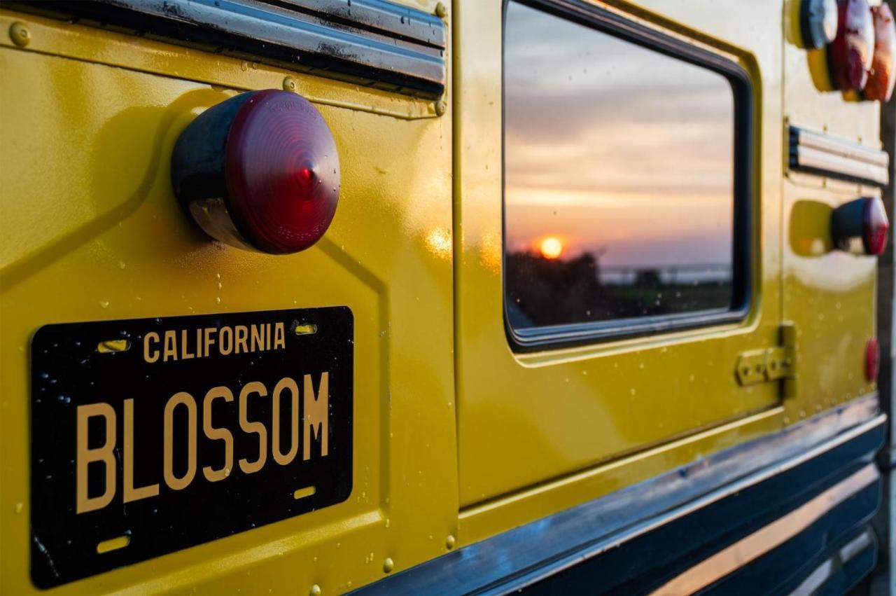 American School Bus - 1 Bedroom - Blossom Farm - Tiers Cross Johnston Εξωτερικό φωτογραφία